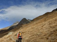 P1070487  Wir nehmen zunächst der Wanderweg Richtung Stallerberg, zweigen aber auf Punkt 2333 auf den Weg, welcher zum See unterhalb der westliche Fallerfurgga führt, ab.