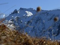 P1070599  Piz Turba.