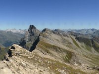 P1070047  Einshorn und Piz Tambo.