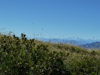 P1070564
