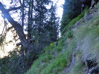 P1080465  Der Weg bis zur Alp de Sambrog ist in einem sehr guten Zustand.