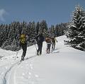 IMG_1810