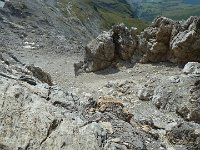 P1070923  Und da oben hatte es an diesem losen Berg plötzlich doch noch angenehmes Gestein um einigermassen gut hochzukommen.